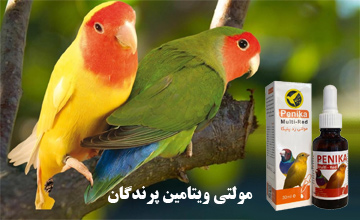 بهترین مولتی ویتامین پرندگان و طریقه مصرف آن