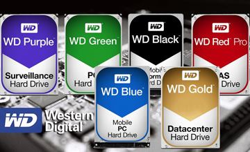 بررسی علت تفاوت رنگ بندی هاردهای وسترن دیجیتال و معنی آنها