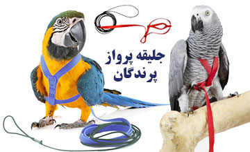 جلیقه پرواز پرنده چیست و طرز استفاده آن چگونه است؟