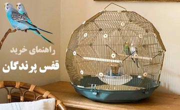 خرید بهترین قفس پرنده | معرفی انواع قفس پرنده + راهنمای خرید