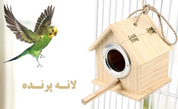 بهترین مدلهای لانه پرنده چوبی و پلاستیکی با قیمت ارزان