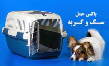 بهترین باکس گربه و سگ + راهنمای خرید مدلهای نو و دست دوم