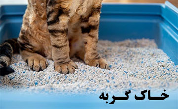 خاک گربه چیست و انواع آن کدام است؟ معرفی بهترین مارکها