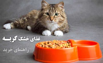 غذای خشک گربه چیست؟ راهنمای خرید، ترکیبات، مزایا و برندهای برتر