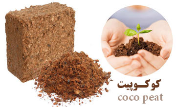 خاک کوکوپیت چیست و برای چه گیاهانی استفاده میشود؟