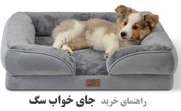 راهنمای خرید بهترین جای خواب سگ + معرفی انواع تخت خواب سگ