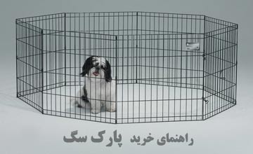 پارک سگ چیست و چه مزایایی دارد؟ معرفی بهترین پارک سگ