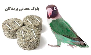 بلوک معدنی یا سنگ مینرال چیست و چه فوایدی برای پرندگان دارد؟