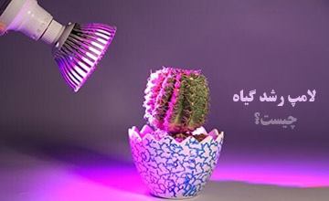 لامپ رشد گیاه چیست؟ لیست بهترین مدلهای لامپ رشد گیاه