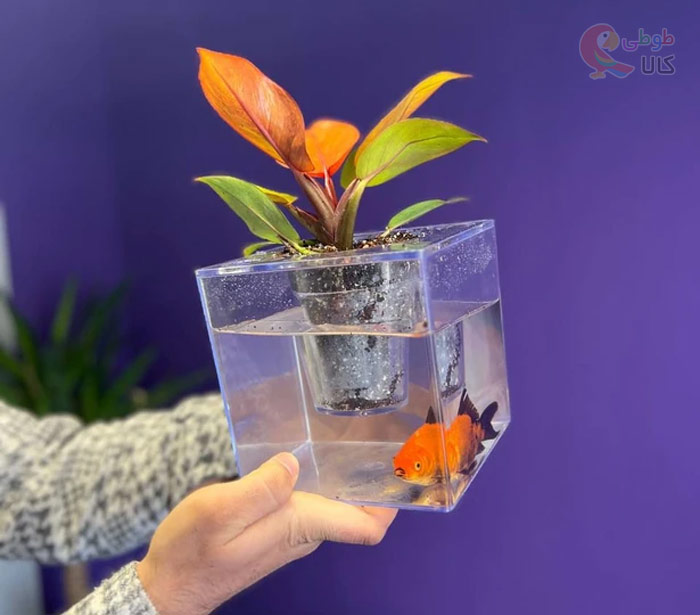 تنگ ماهی طرح گلدان