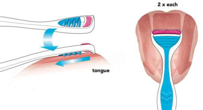 نحوه استفاده از مسواک زبان