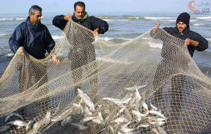 ماهیگیری در کنار ساحل