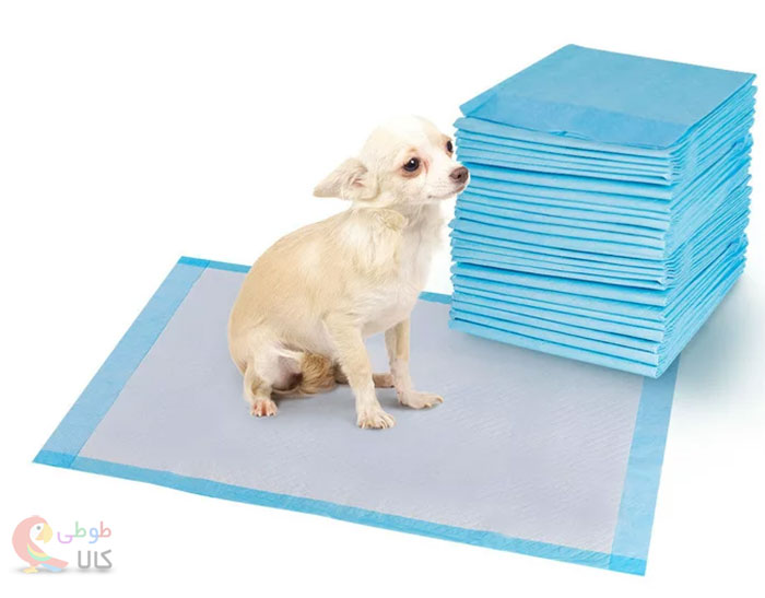 پد آموزش ادرار سگ