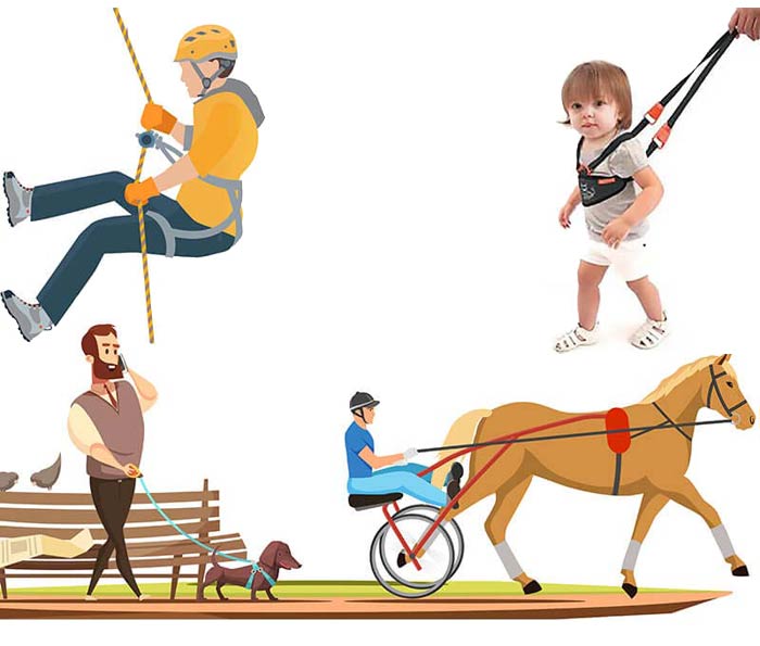 انواع مختلف هارنس