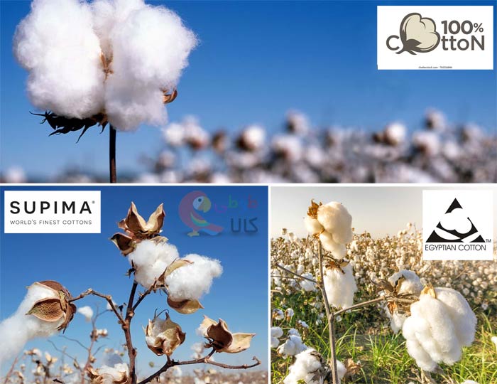 انواع مختلف کتان