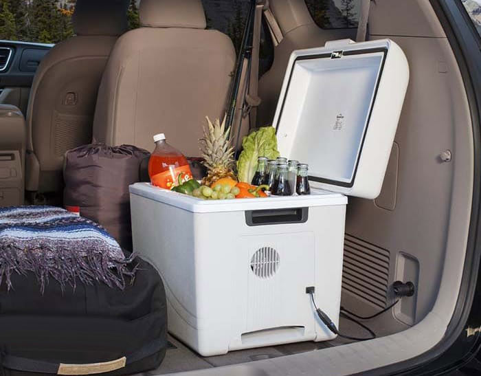 یخچال مسافرتی