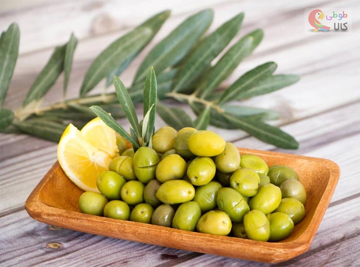 ظرف زیتون خوری چوبی